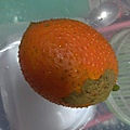 泰國種木鱉果-1.jpg