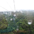 可是下面一大片的rainforest真的很壯觀