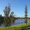 這個river Torrens跟Brisbane river比起來藍多了，美多了，乾淨多了　哈哈