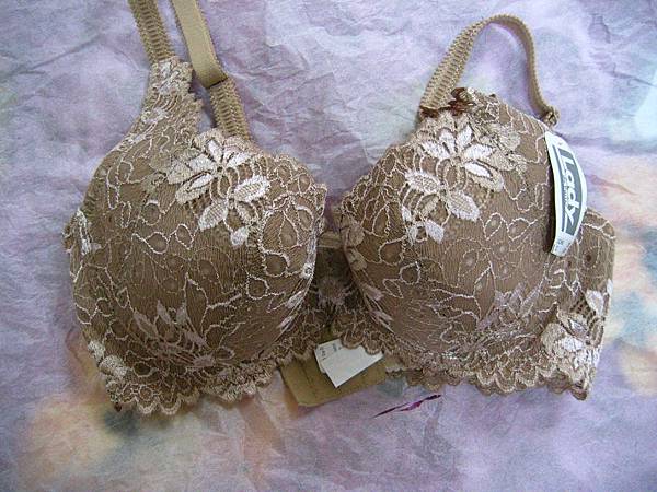 LN 23460咖啡(LADY)