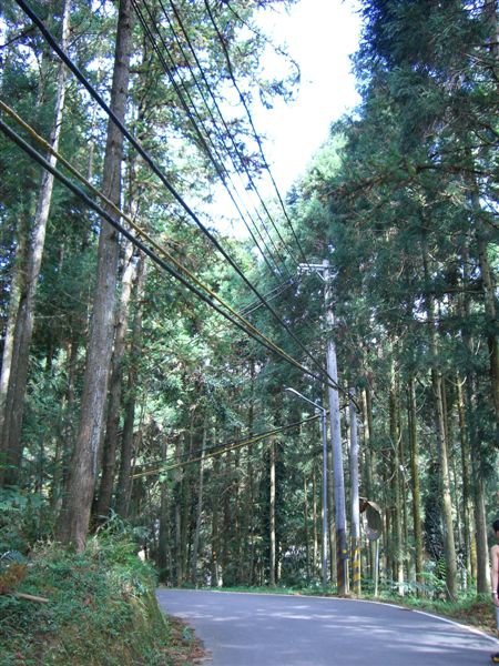 向天湖停車區的風景