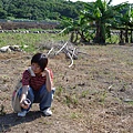 淡水石頭厝