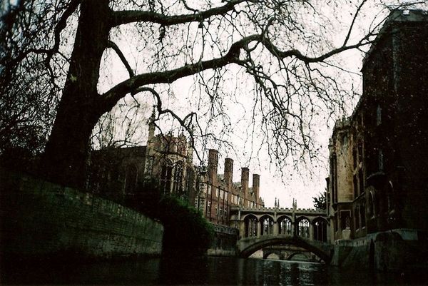 CAMBRIDGE_007.jpg