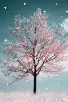 雪景.bmp 雪景.bmp