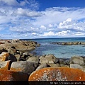 bay of fires 徹底值得開車開六小時來回