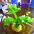 養了 一株celery.