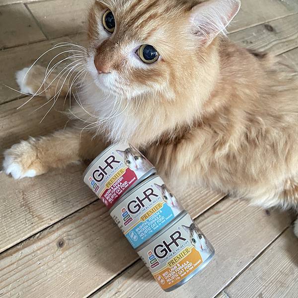 女人知己試用大隊,口碑行銷,部落客行銷,來自純淨自然無汙染的紐西蘭,自然主食罐,GHR 健康主義,GHR,貓用主食罐,貓罐,GHR貓用無穀主食罐,雞肉蔓越莓配方,鹿肉雞肉配方,牛羊加雞配方,刷尾負鼠肉雞肉配方,評價,口碑,適口性佳,心得,紐西蘭GHR,罐頭,貓咪,牛磺酸,軟骨素,維生素關節保健