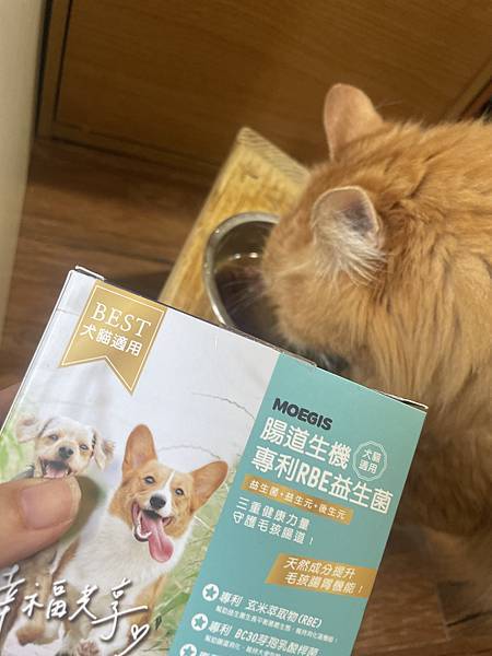 女人知己試用大隊,口碑行銷,部落客行銷,Moegis萌吉 腸道生機專利RBE益生菌,寵物益生菌,專利RBE益生元,專利蔬果酵素,小分子胜肽,藍藻粉,維持免疫力,幫助維持消化道機能,維持正常食慾,改變細菌叢生態,腸胃保健,犬貓適用