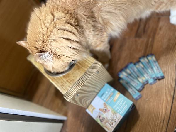 女人知己試用大隊,口碑行銷,部落客行銷,Moegis萌吉 腸道生機專利RBE益生菌,寵物益生菌,專利RBE益生元,專利蔬果酵素,小分子胜肽,藍藻粉,維持免疫力,幫助維持消化道機能,維持正常食慾,改變細菌叢生態,腸胃保健,犬貓適用