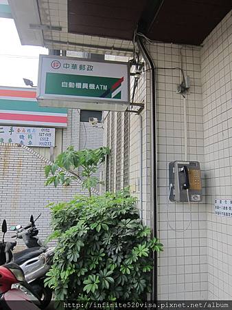 IMG_8798