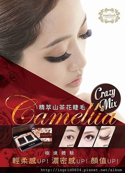 IMG_6808.JPG IMG_6808.JPG