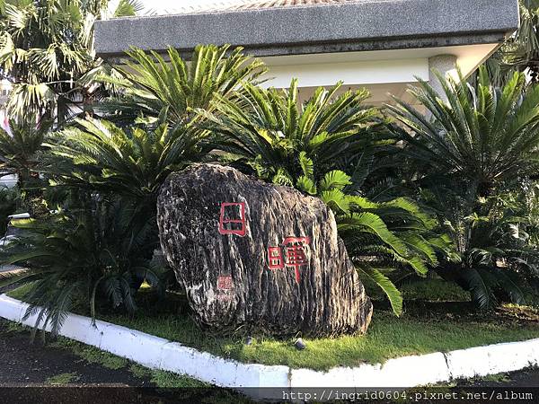 IMG_6403.jpg IMG_6403.jpg