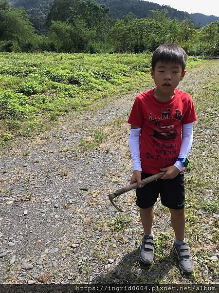 IMG_3615.JPG IMG_3615.JPG