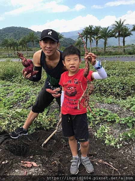 IMG_3724.JPG IMG_3724.JPG