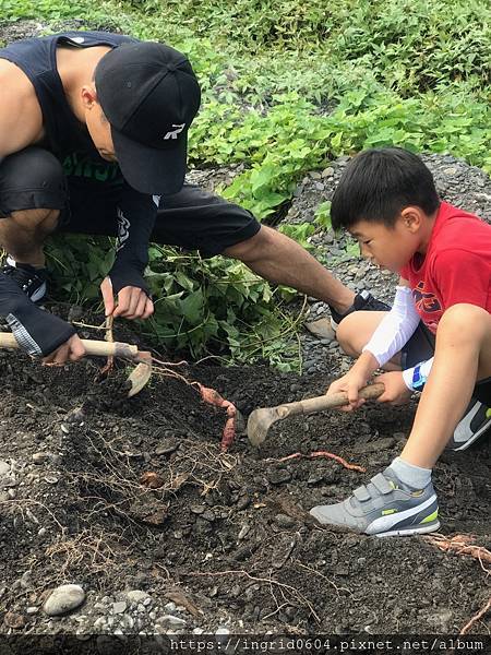 IMG_3694.JPG IMG_3694.JPG