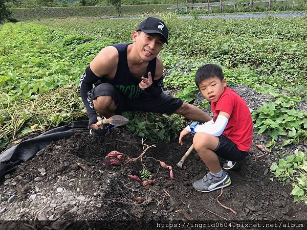 IMG_3713.JPG IMG_3713.JPG