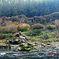 嵐山保津川遊船14.jpg