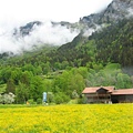 少女峰鐵道/Zweilutschinen至Grindelwald段