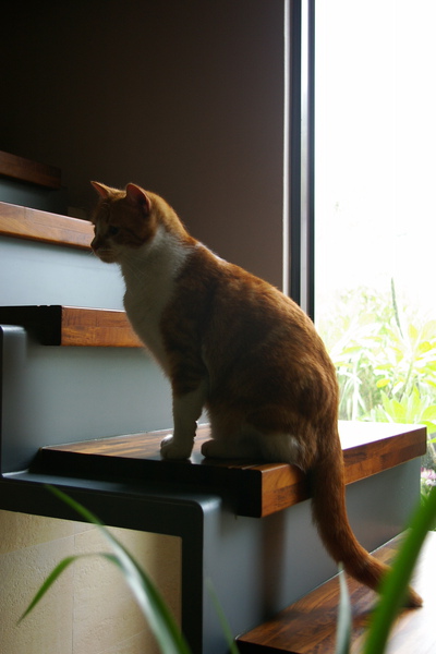 IMGP8210.jpg