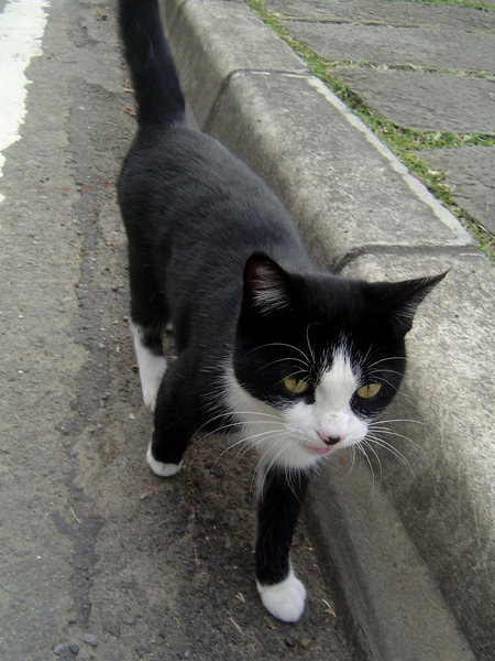 DSC09193.JPG
