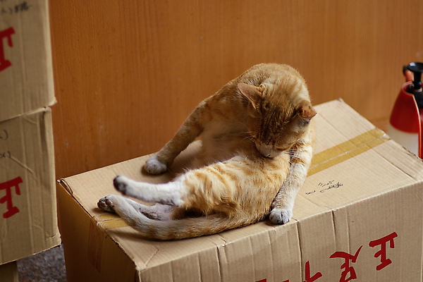 IMGP8977.JPG