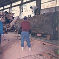 1990年代 三義製材所 作業情形
