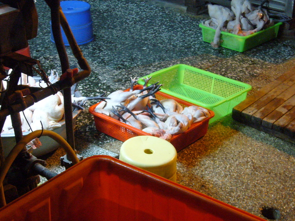 P1100774.JPG P1100774.JPG