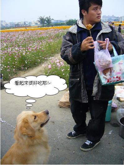 熊1.JPG 熊1.JPG