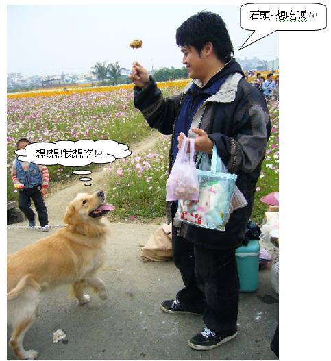 熊2.JPG 熊2.JPG