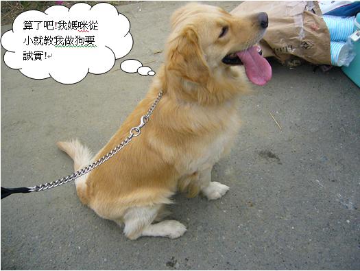 熊4.JPG 熊4.JPG