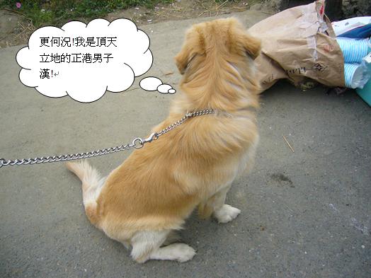 熊5.JPG 熊5.JPG