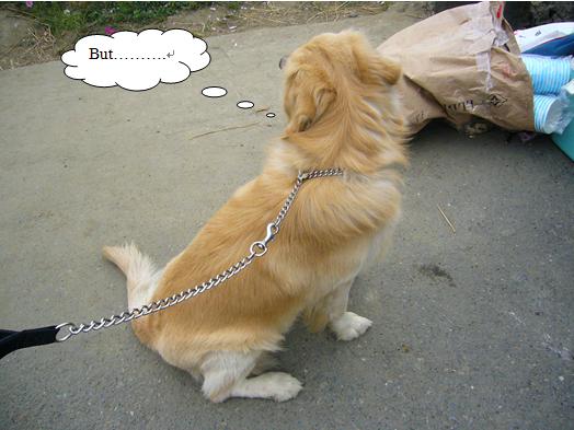 熊6.JPG 熊6.JPG