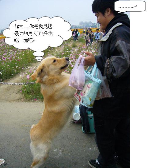 熊7.JPG 熊7.JPG