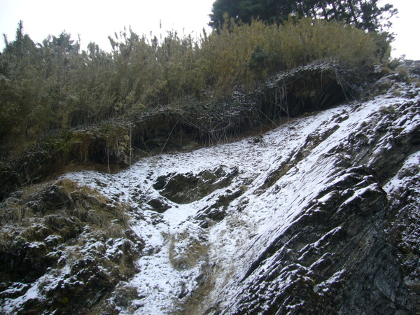 P1120245.JPG P1120245.JPG