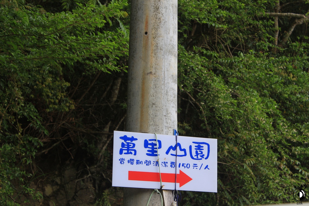 IMG_9682.JPG IMG_9682.JPG