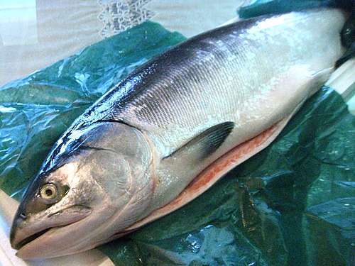 時不知鮭義大利麵 Felix生活網誌 痞客邦