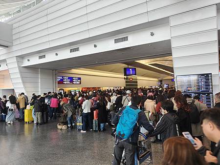 2025 富國島過年動物園、纜車之旅 六天五夜自助D1、2