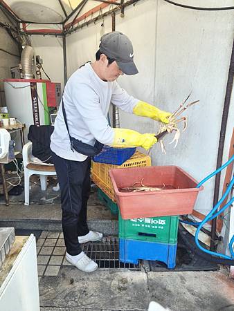 2025 釜山Busan pass D3