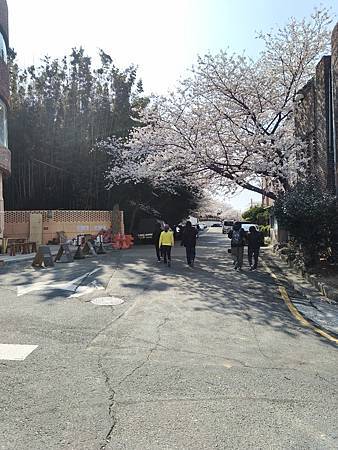 2025 釜山Busan pass D4