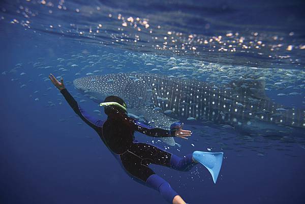 2-4r 4898×3265 ©Tourism Australia.jpg 2-4r 4898×3265 ©Tourism Australia.jpg