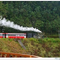 S970149奔馳的蒸汽火車【阿里山】.jpg