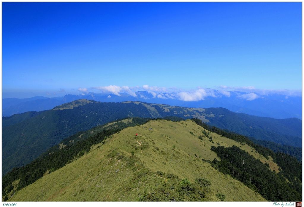 S1081004蒼翠的箭竹草坡【鈴鳴山】.jpg