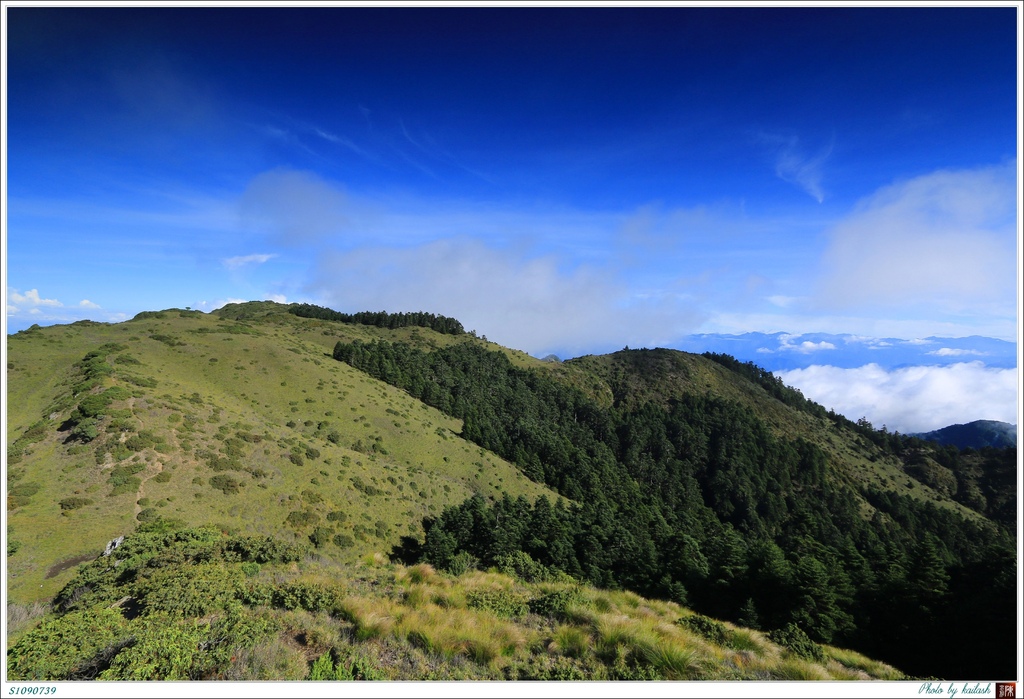 S1090739芳草連天的山稜【牧山】.jpg