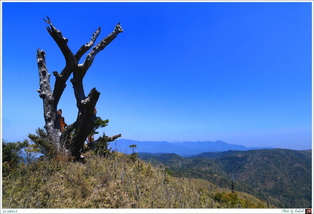 S1100413矗立山巔的枯木【七彩湖】.jpg