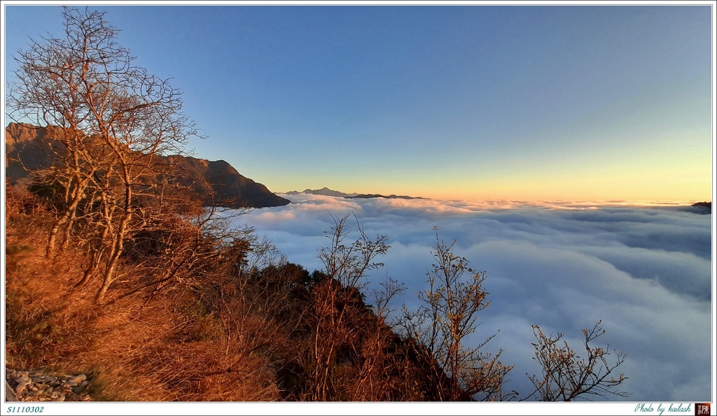 S1110302波瀾壯闊的雲海【玉山步道】.jpg