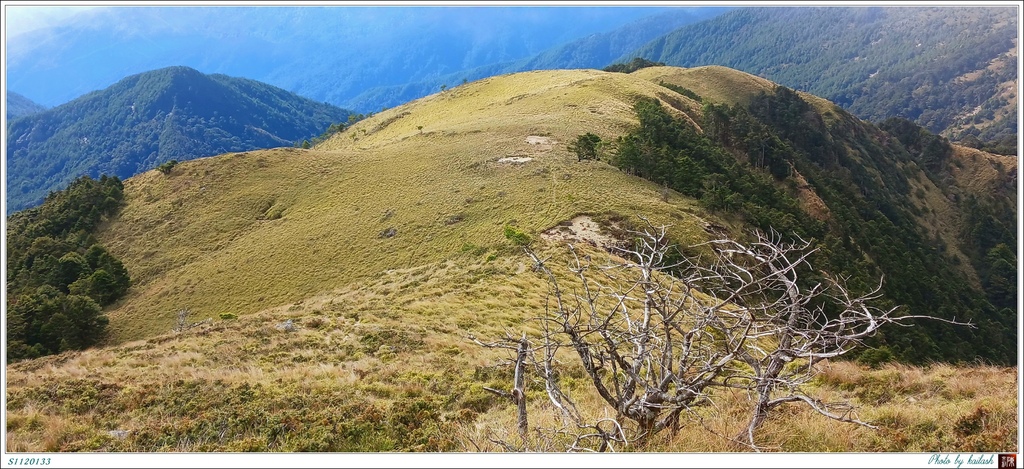 S1120133綿柔如毯的草原【海諾南山】.jpg