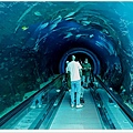 S1120602珊瑚館海底隧道【墾丁】.jpg