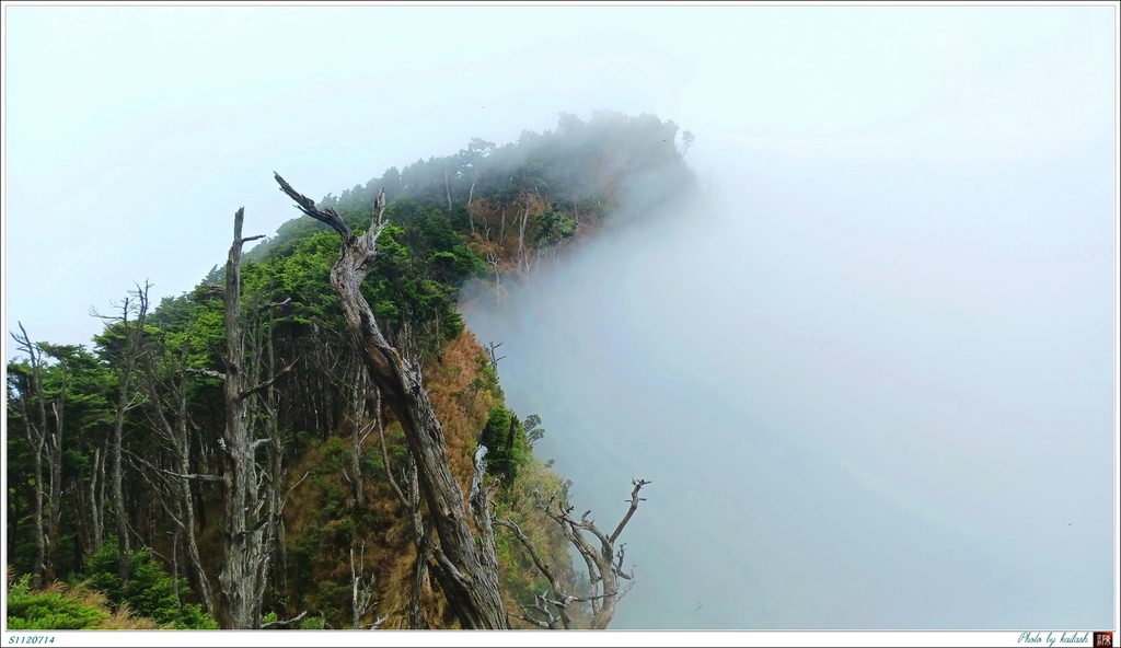 S1120714濃霧瀰漫的峰頂【南大武山】.jpg