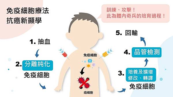 免疫細胞治療費用