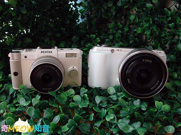 SONY NEX-C3  VS  PENTAX Q